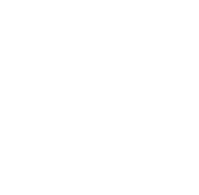 DKW Logo weiß